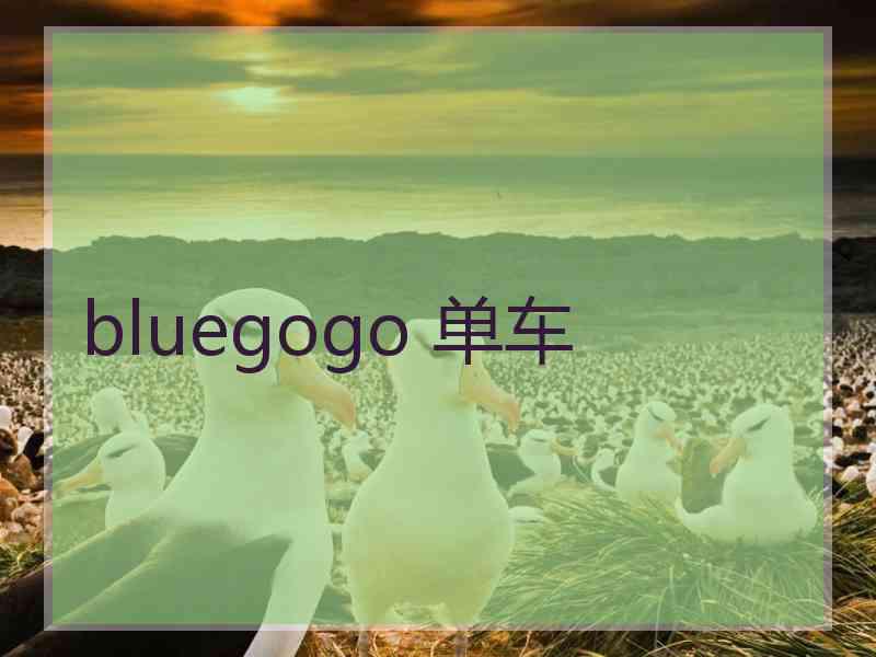 bluegogo 单车