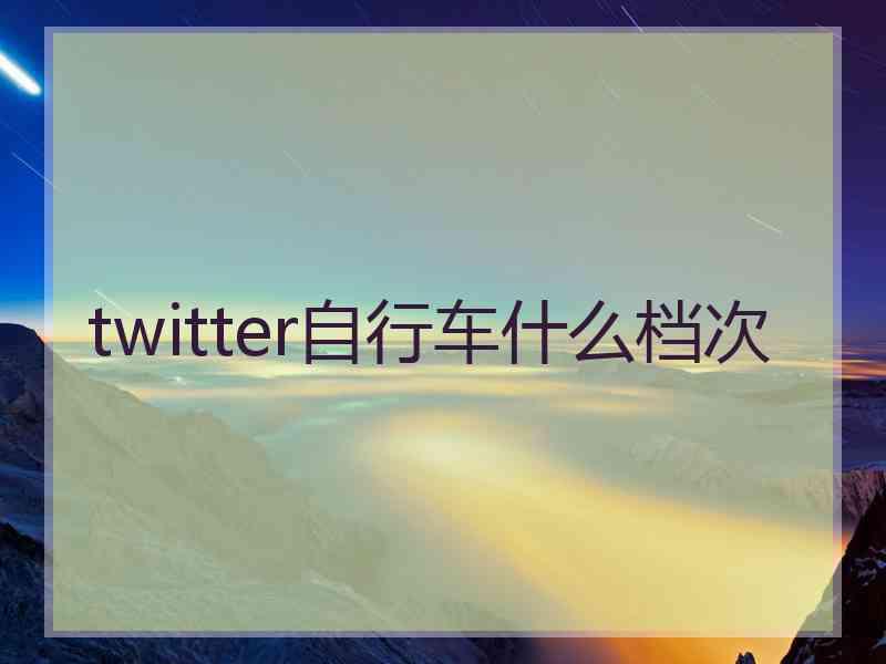 twitter自行车什么档次