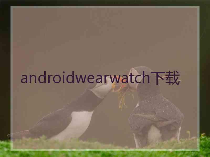 androidwearwatch下载