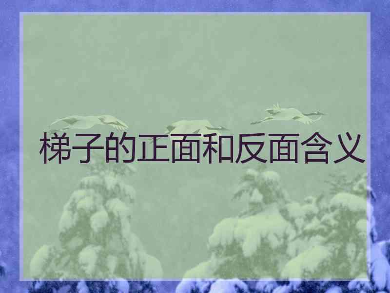 梯子的正面和反面含义