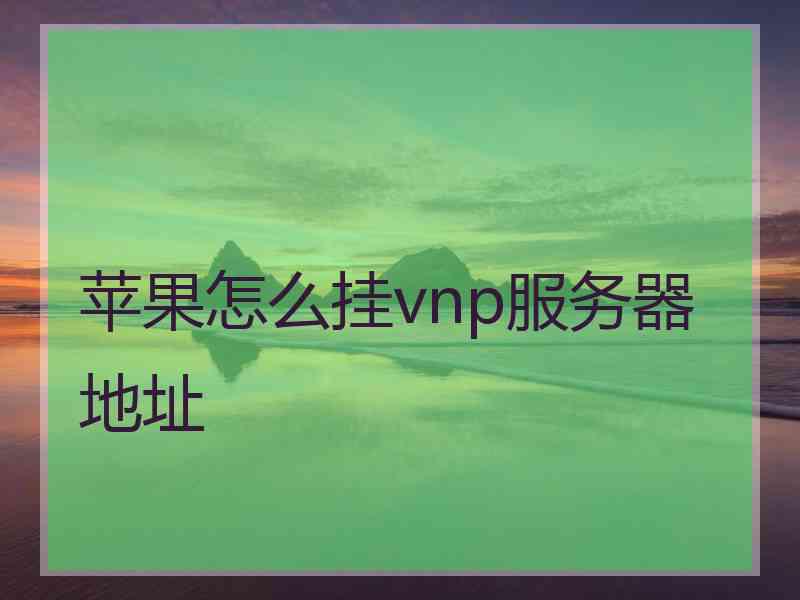 苹果怎么挂vnp服务器地址