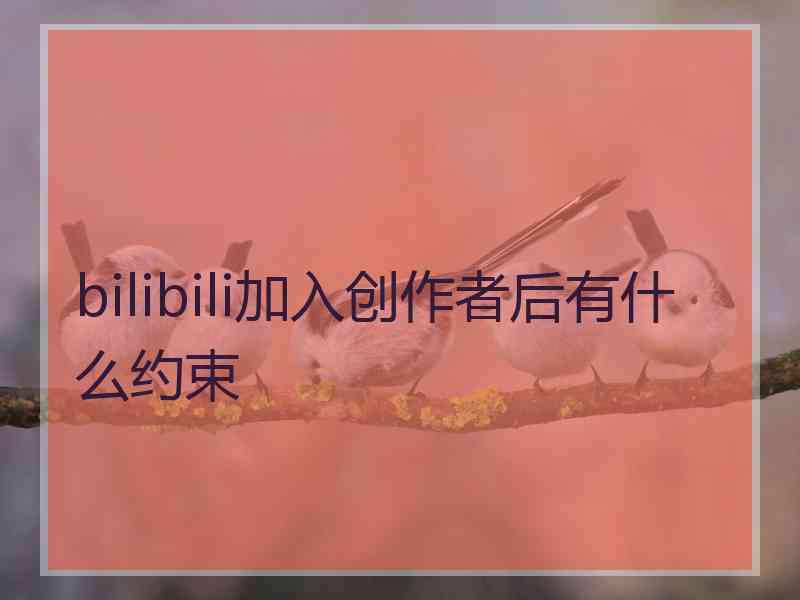 bilibili加入创作者后有什么约束