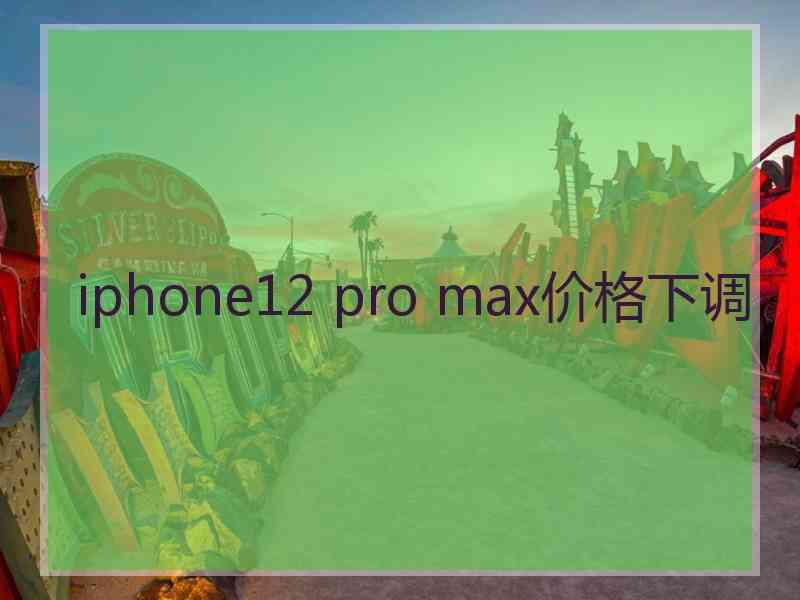 iphone12 pro max价格下调