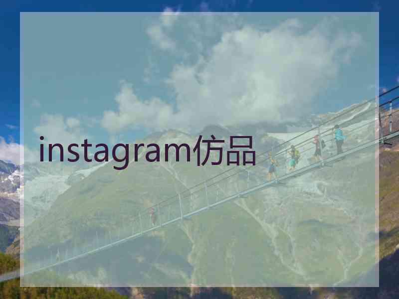 instagram仿品