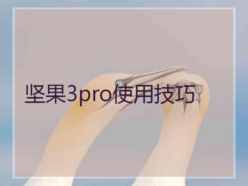 坚果3pro使用技巧