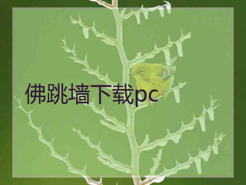 佛跳墙下载pc