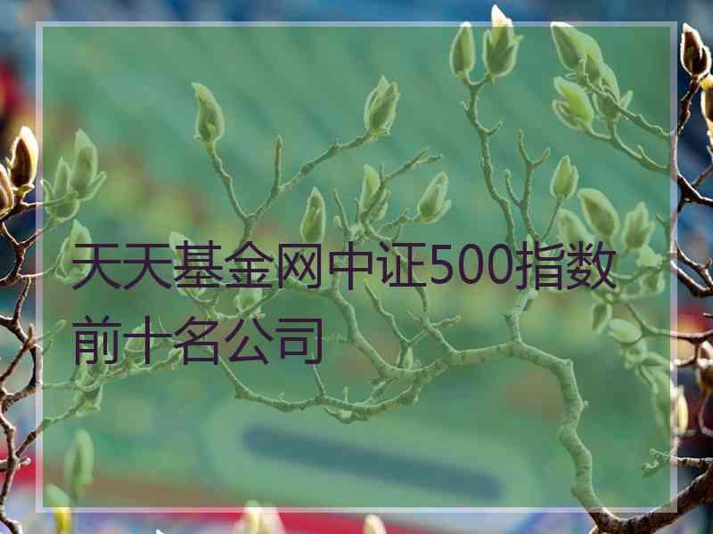 天天基金网中证500指数前十名公司