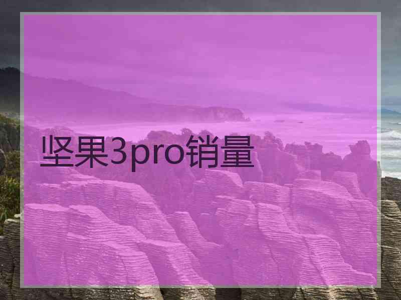 坚果3pro销量