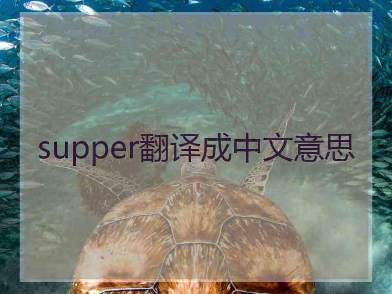 supper翻译成中文意思