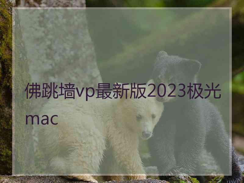 佛跳墙vp最新版2023极光 mac