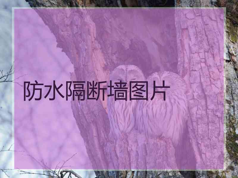 防水隔断墙图片