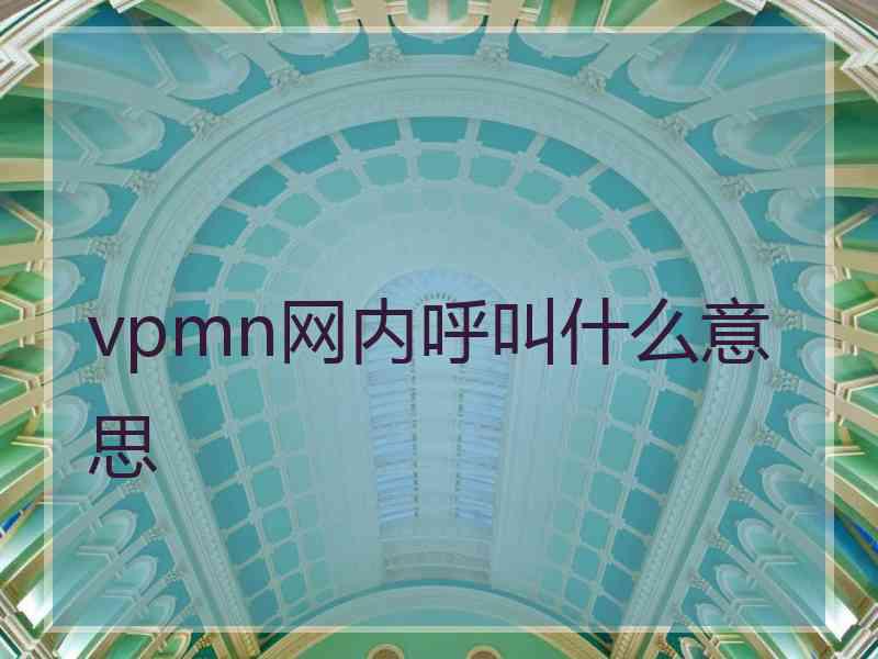 vpmn网内呼叫什么意思