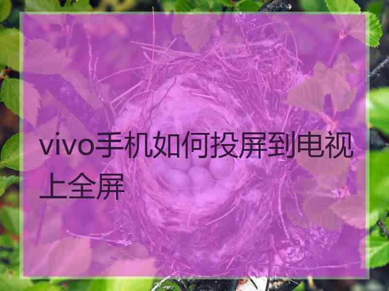 vivo手机如何投屏到电视上全屏