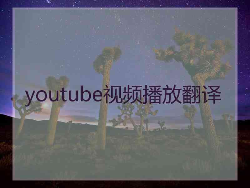 youtube视频播放翻译