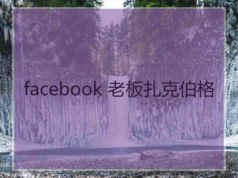 facebook 老板扎克伯格