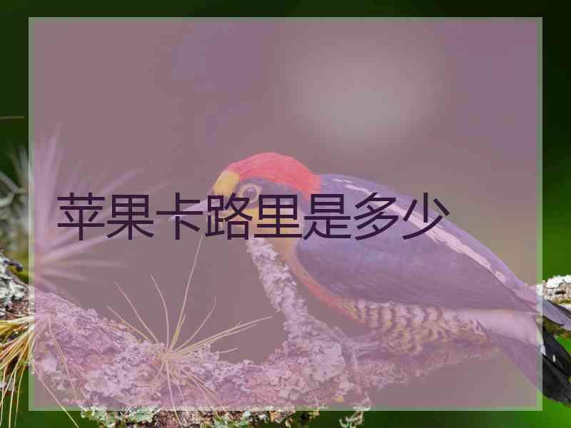 苹果卡路里是多少