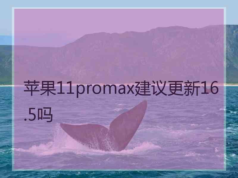 苹果11promax建议更新16.5吗