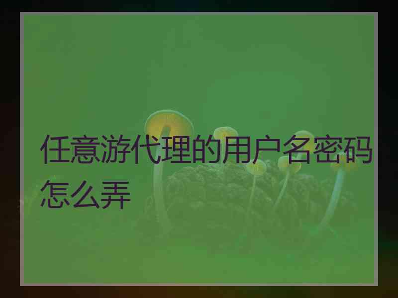 任意游代理的用户名密码怎么弄