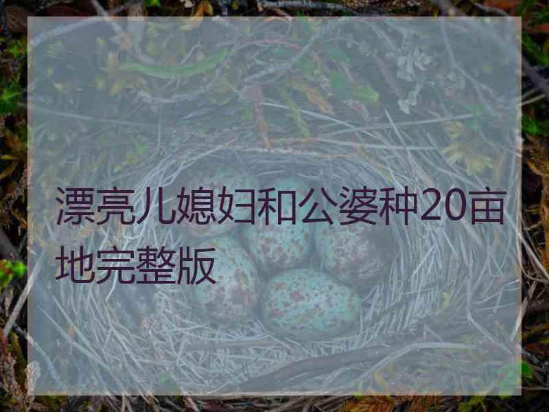 漂亮儿媳妇和公婆种20亩地完整版