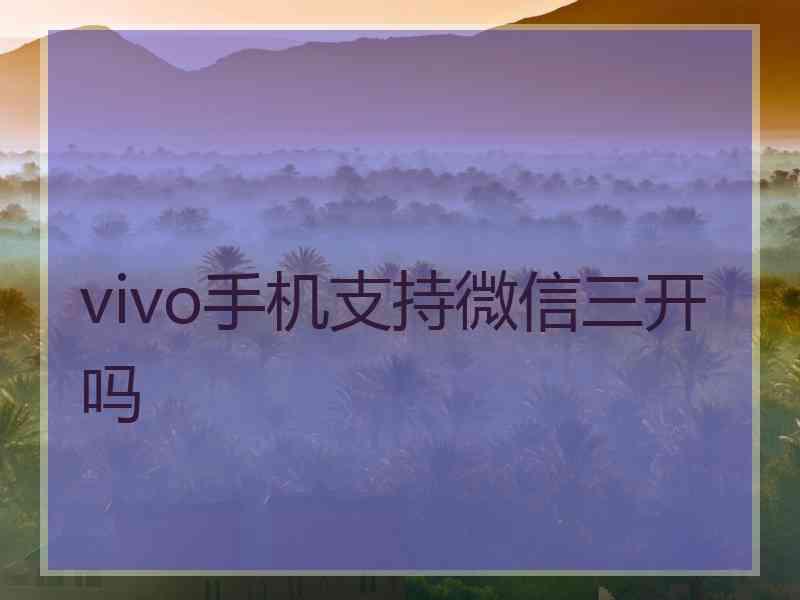 vivo手机支持微信三开吗