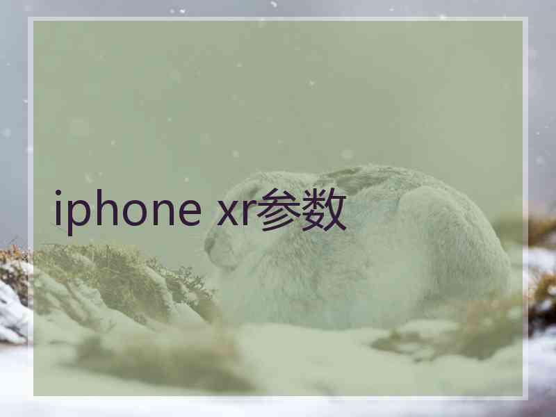 iphone xr参数