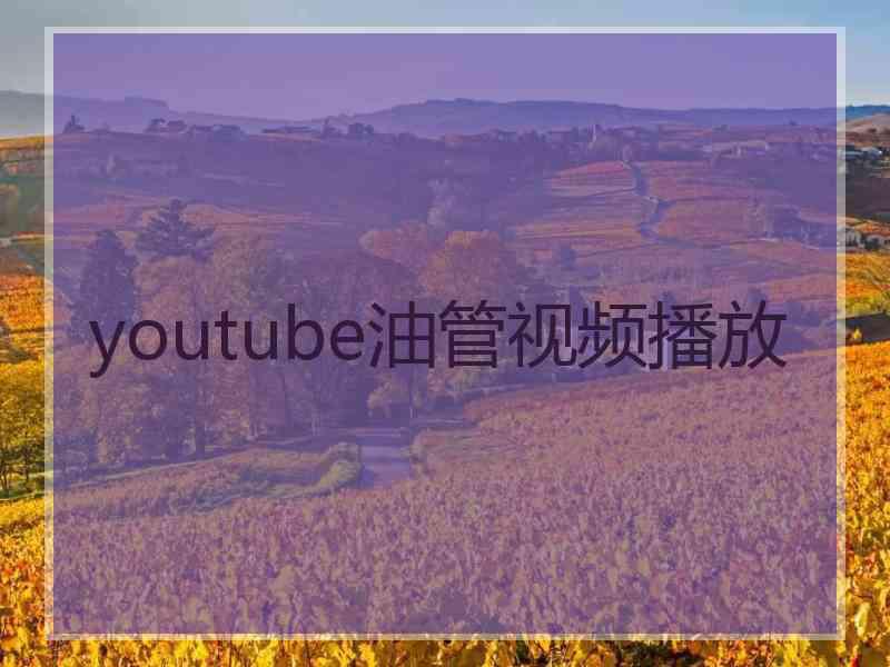 youtube油管视频播放