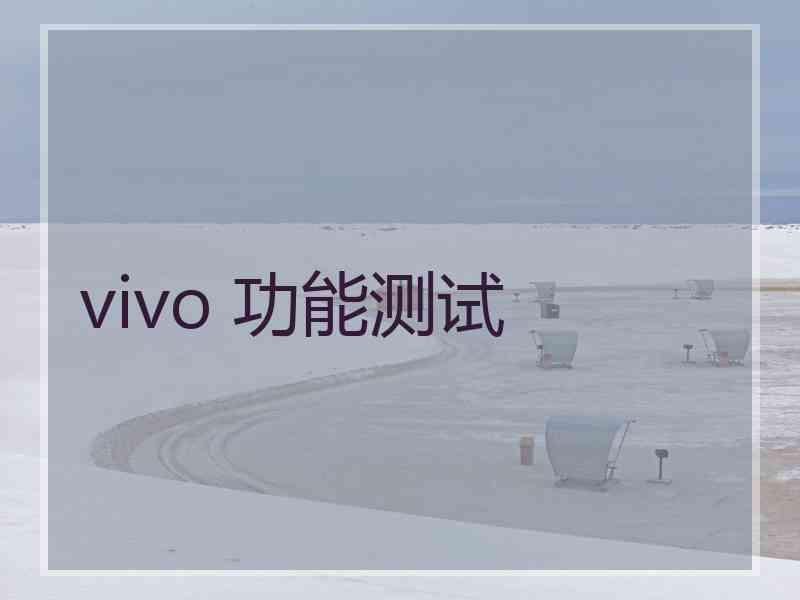 vivo 功能测试