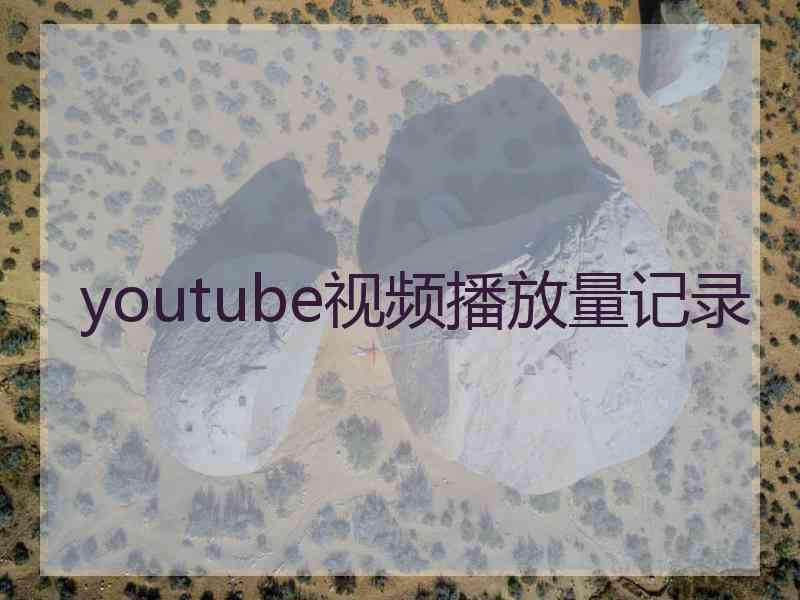 youtube视频播放量记录