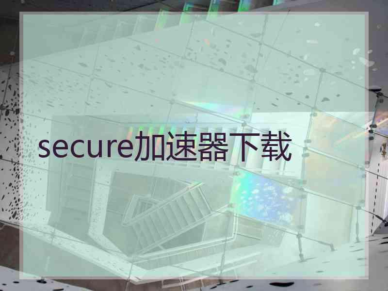 secure加速器下载