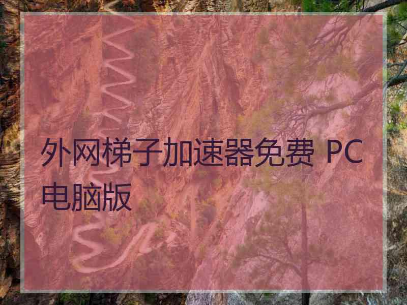 外网梯子加速器免费 PC电脑版