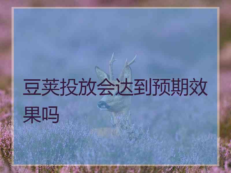 豆荚投放会达到预期效果吗