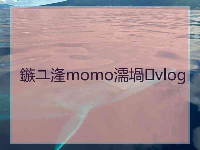 鏃ユ湰momo濡堝vlog