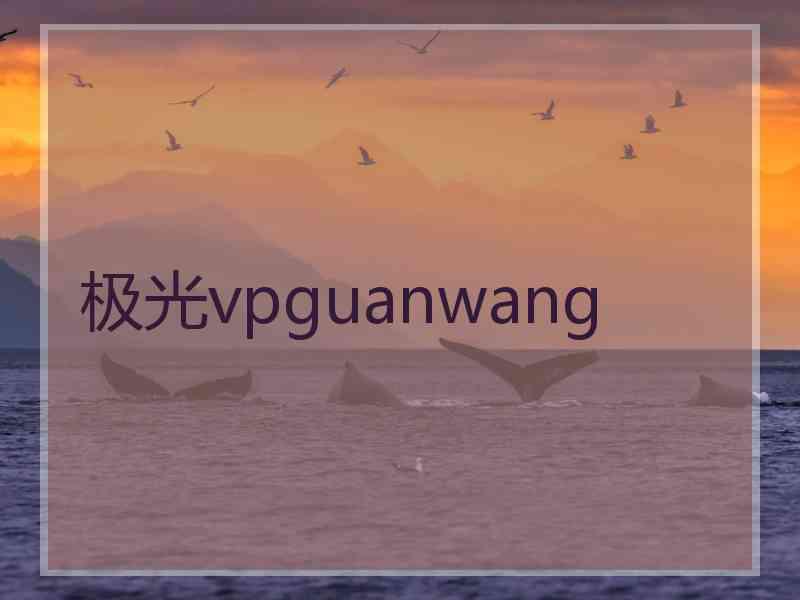 极光vpguanwang