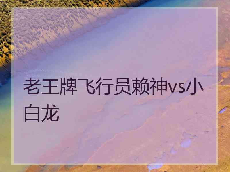 老王牌飞行员赖神vs小白龙