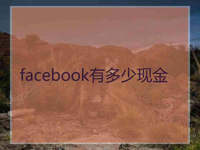 facebook有多少现金