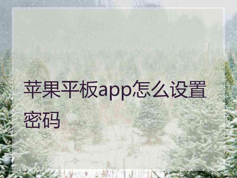 苹果平板app怎么设置密码