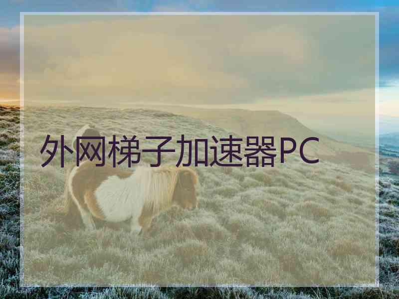 外网梯子加速器PC