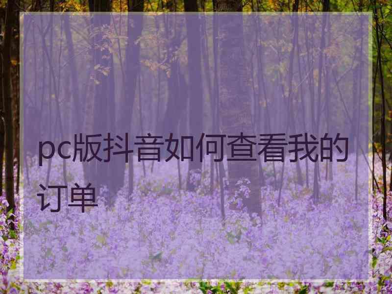 pc版抖音如何查看我的订单