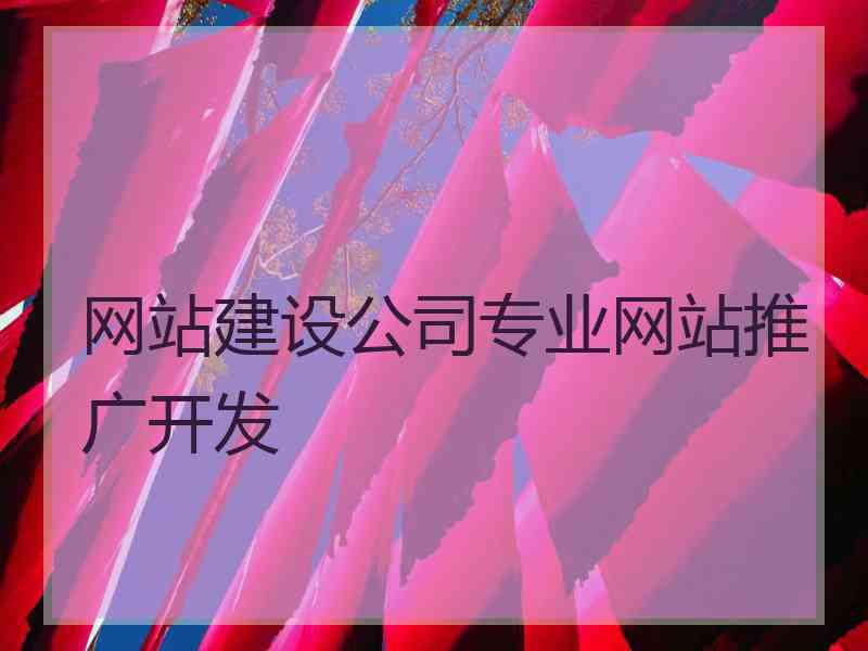 网站建设公司专业网站推广开发