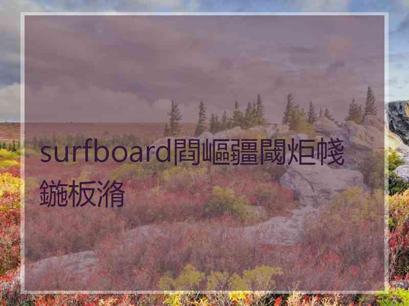 surfboard閰嶇疆閾炬帴鍦板潃