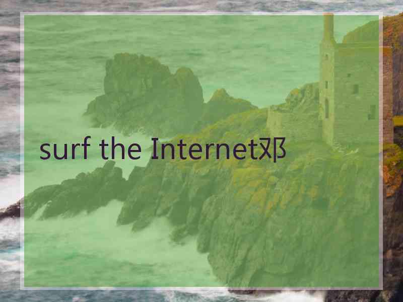 surf the Internet邓