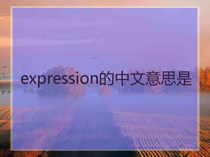 expression的中文意思是