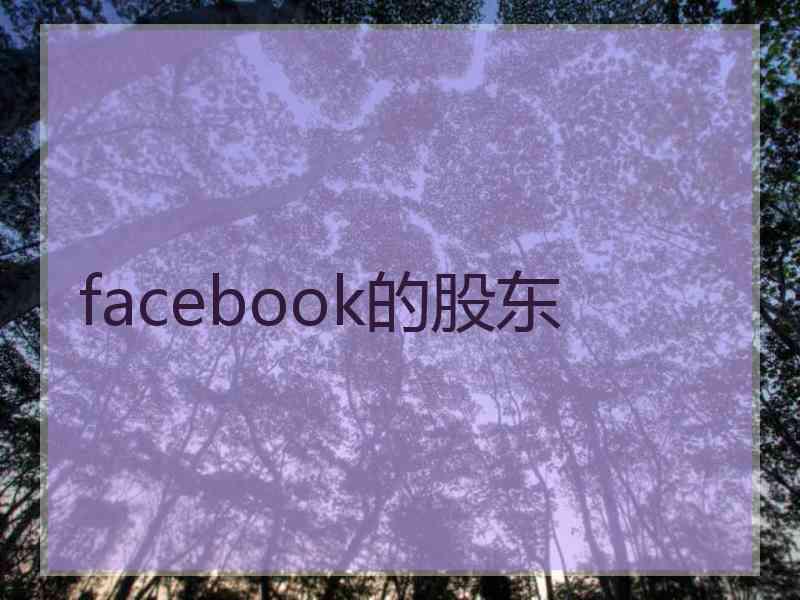 facebook的股东