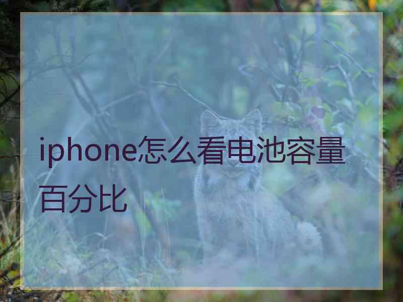 iphone怎么看电池容量百分比