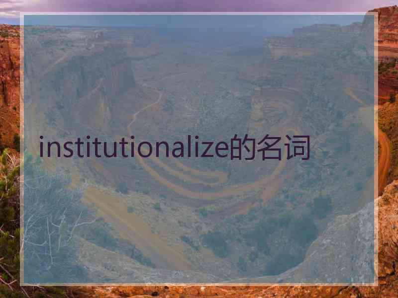 institutionalize的名词