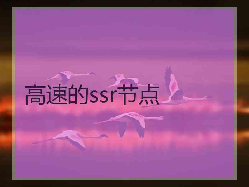 高速的ssr节点