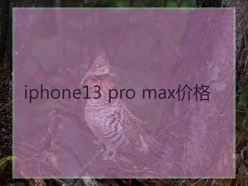 iphone13 pro max价格