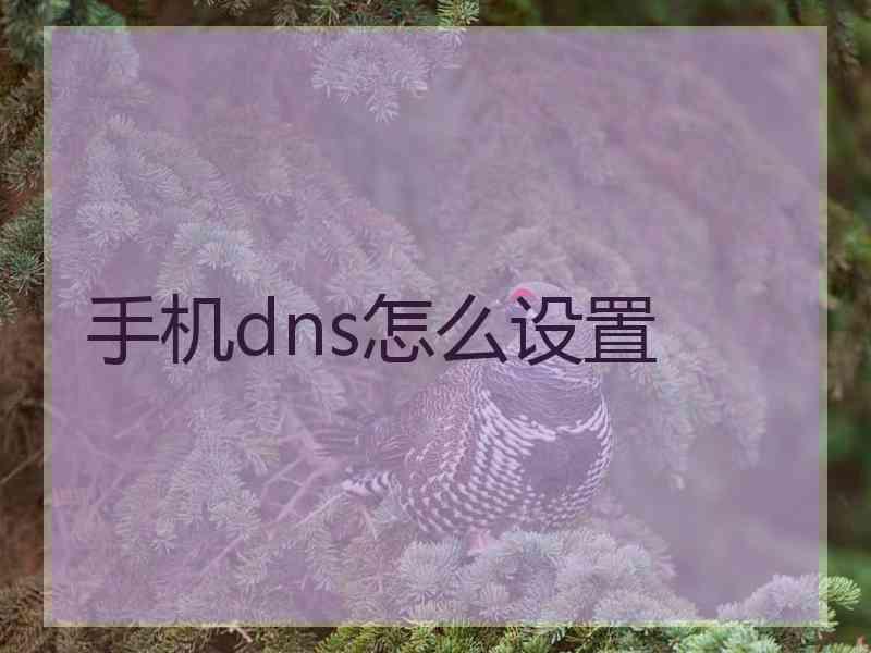 手机dns怎么设置