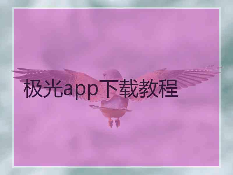 极光app下载教程