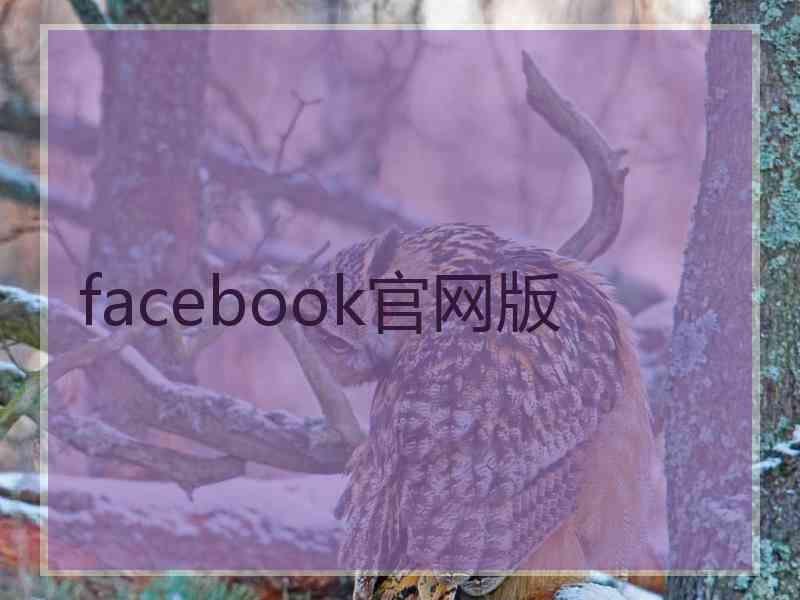 facebook官网版